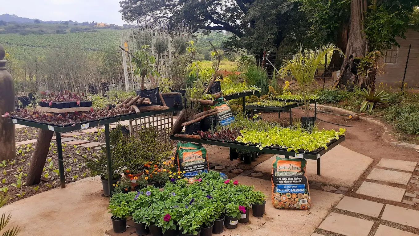 Likhutsa Nursery